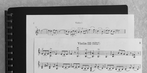 Sheet music labelled "Violin 3" and "Page 3" without any other information.