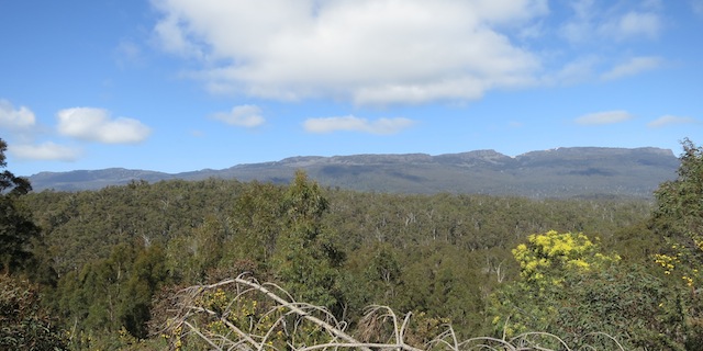 Distant forest and mountains seen from quarry
