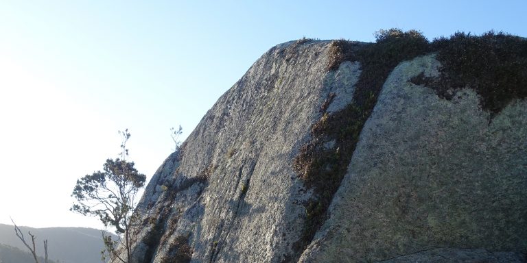 Photograph of granite rock outcrop with occasional plants growing on it.