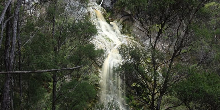 Photograph of waterfall seen through trees.