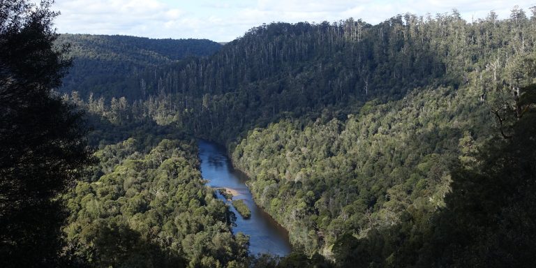 Photograph of wide river winding through forest.