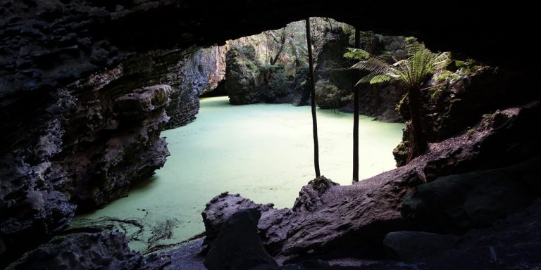 Photograph looking through limestone rock arch towards a flooded sinkhole covered in green leafy plants.